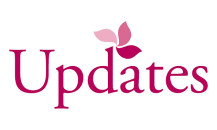 Turning Heads Updates